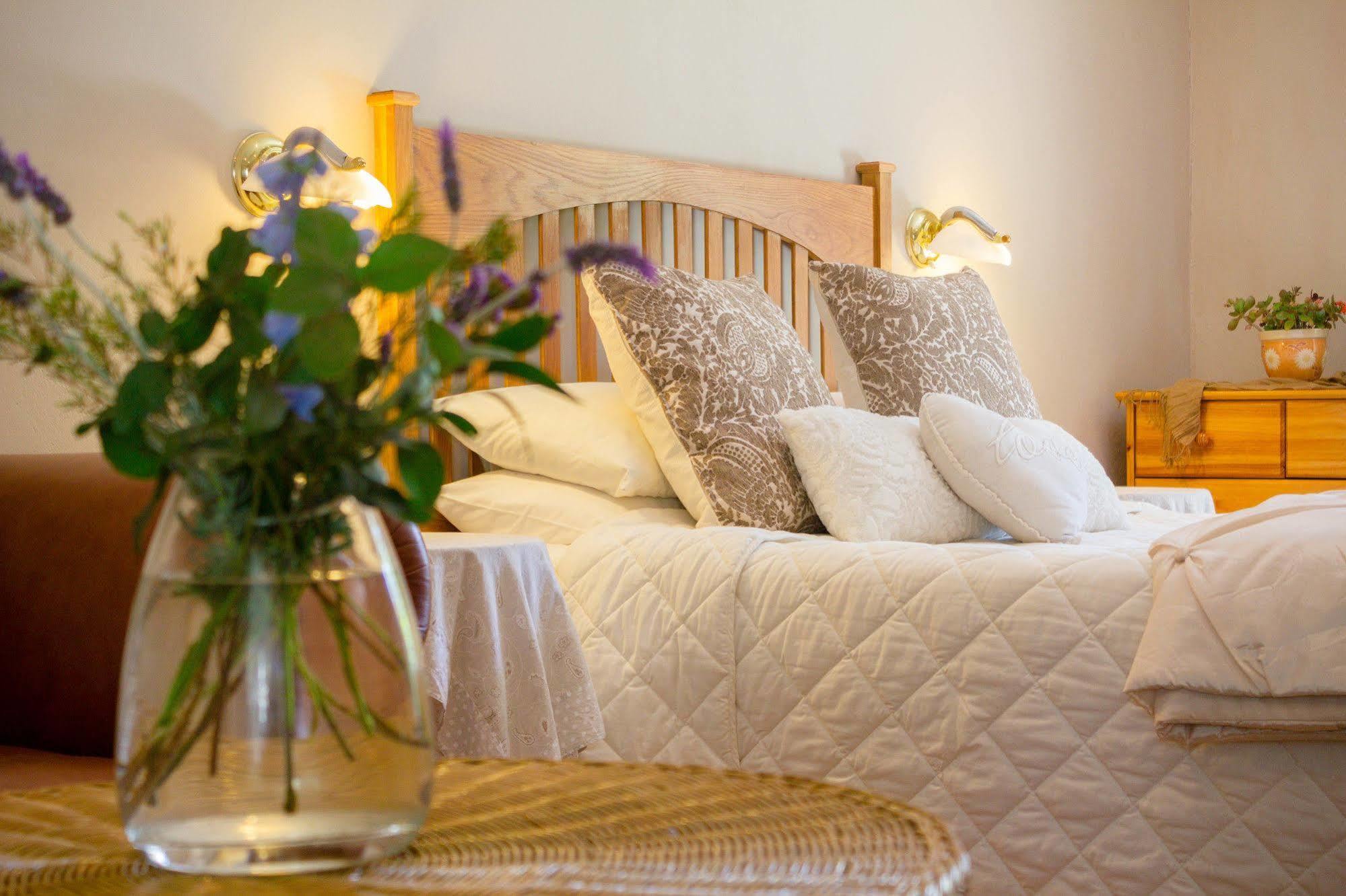 Bed and Breakfast Adley House Oudtshoorn Zewnętrze zdjęcie