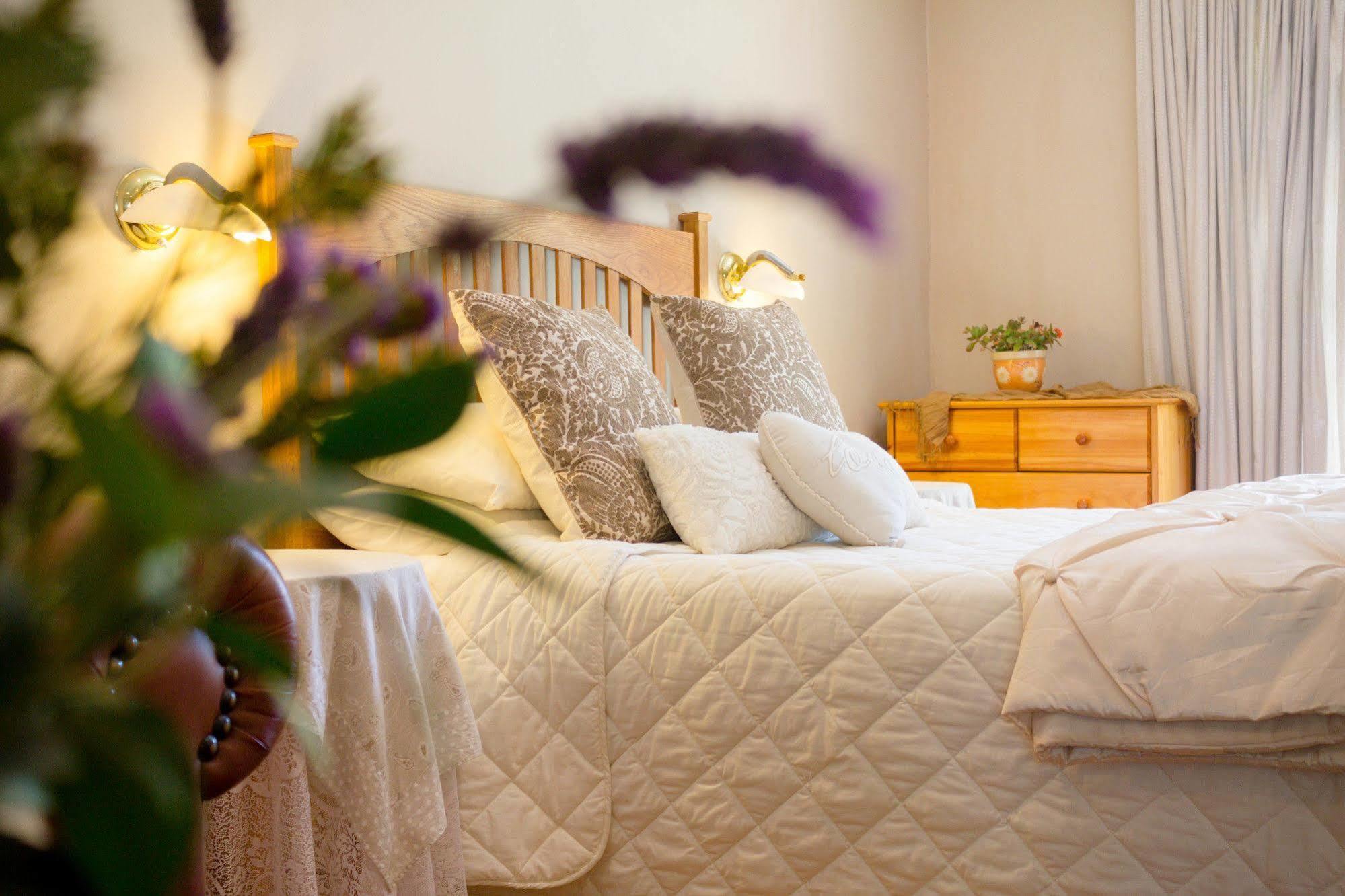Bed and Breakfast Adley House Oudtshoorn Zewnętrze zdjęcie