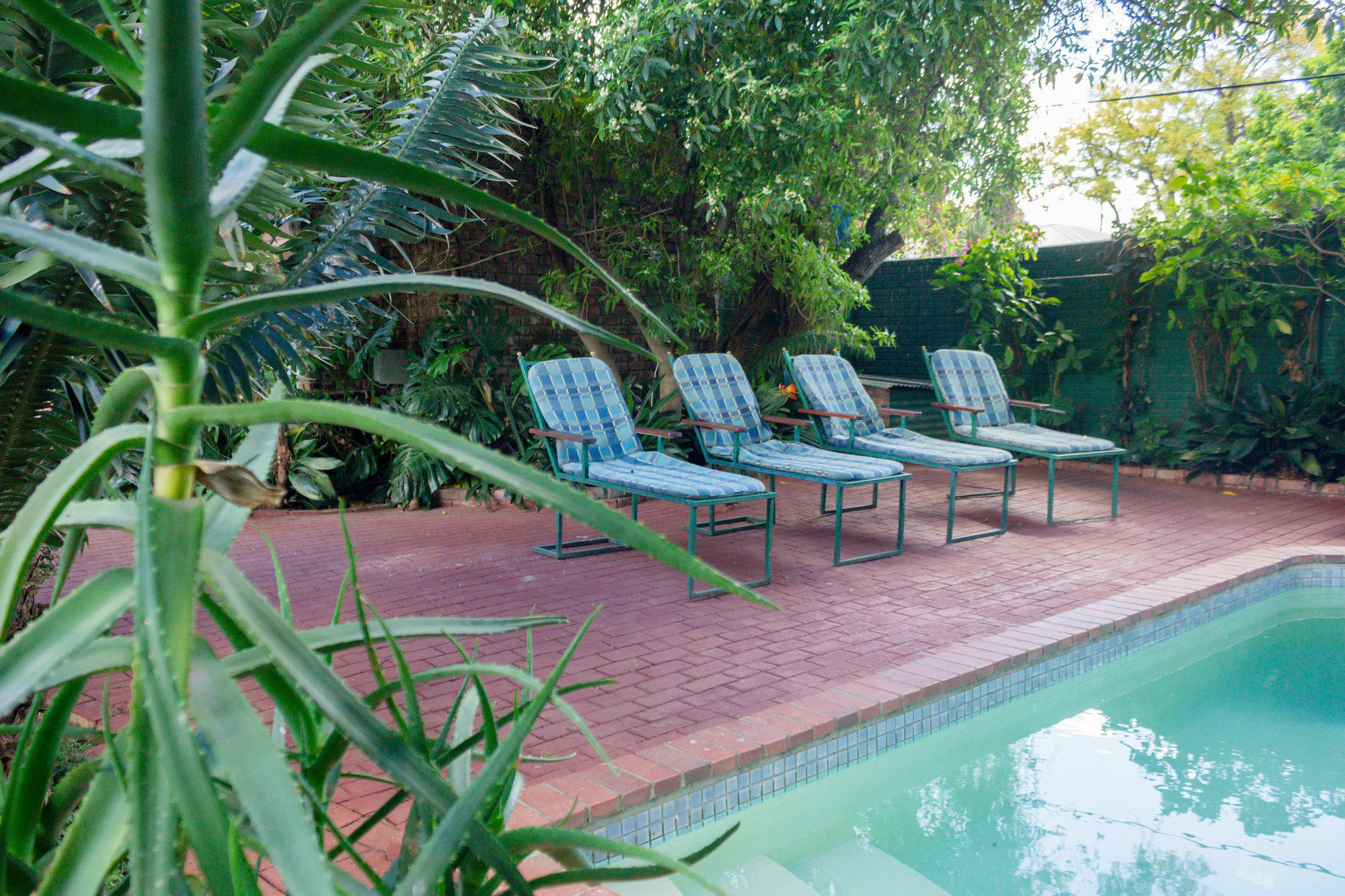 Bed and Breakfast Adley House Oudtshoorn Zewnętrze zdjęcie