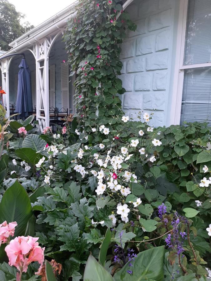 Bed and Breakfast Adley House Oudtshoorn Zewnętrze zdjęcie